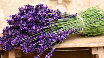 Nu o arunca! Lavanda uscată îți poate fi de mare folos