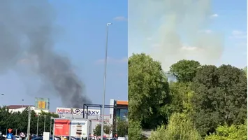 Incendiu puternic la Grădina Zoologică București. Pompierii intervin cu 11 autospeciale