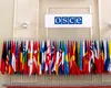 OSCE va monitoriza alegerile din România. Ce vor urmări observatorii