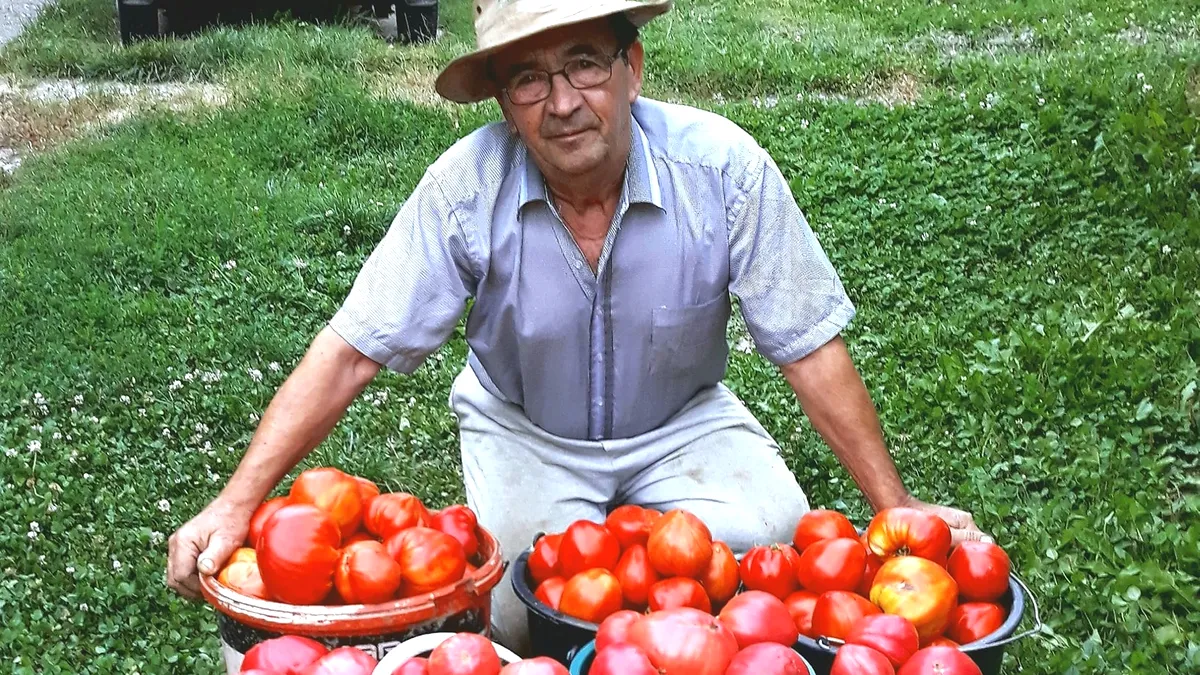 Vali Cucu, grădinarul care a salvat roșiile uriașe românești în urmă cu peste 30 ani, a murit