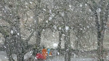 ALERTĂ METEO. Ninsori și vreme rece în următoarele zile (ANM)
