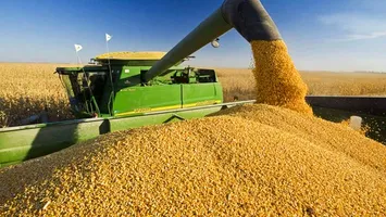 Radiografia agroalimentară: De ce România e „gigant la volum, pigmeu la valoare adăugată” față de UE