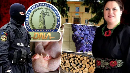 Cum încearcă directoarea unui centru de plasament să mușamalizeze furtul copanelor de pui și a cadourilor de Crăciun! EXCLUSIV