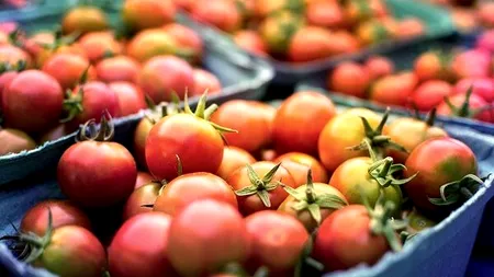 Scandalul roșiilor cu pesticid, tranșat de procurorii buzoieni: „Sunt bune de mâncat”