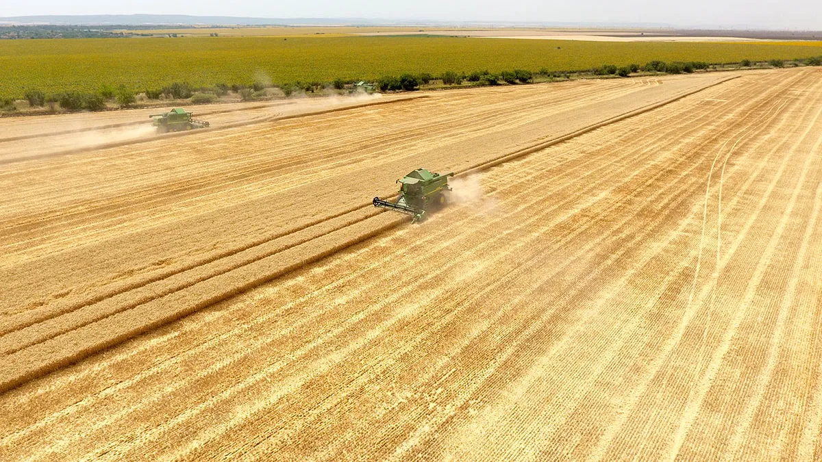 Cine este bulgarul controversat care a cumpărat teren agricol de la patronul Universității Craiova