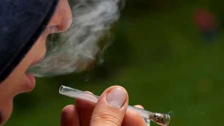 Universitatea Columbia (SUA): Creşte numărul tinerilor americani cu probleme mintale din cauza legalizării consumului de canabis
