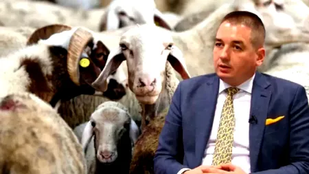 SCANDAL. România a exportat oi bolnave în Austria