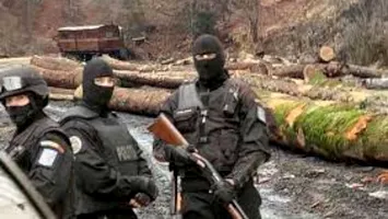 Mafia lemnului are și susținere politică în Suceava (Video)