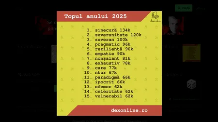 Ce cuvinte i-au pus pe gânduri pe români. „Sinecură” domină 2025