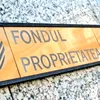 Fondul care a câștigat 14% în două luni și nimic în celelalte patru. Ce arată, de fapt, profitul record al Fondului Proprietatea