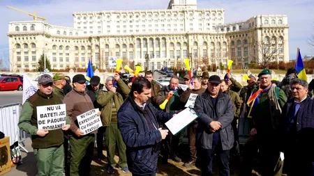 Protest al silvicultorilor la Camera Deputaților: „Pădurile statului intră pe mâna unor grupuri de interese”