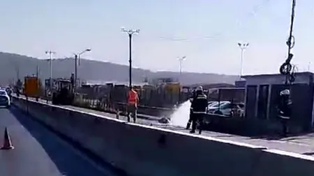 Tragedia de la Crevedia, aproape să se repete în Argeș. Conductă de gaze spartă, pericol de explozie în Bascov