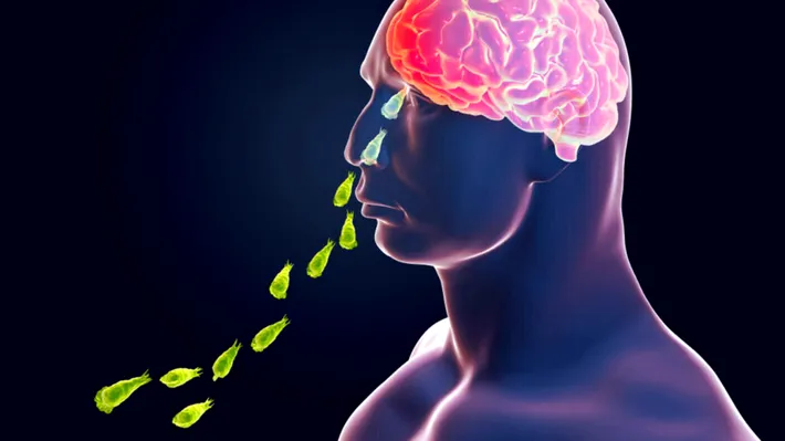Studiile confirmă: O amibă mănâncă creierul. De unde vine marele pericol