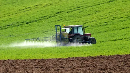 Consultări la Ministerul Agriculturii pentru Planul Național Strategic. Martie 2022, termenul de depunere cerut de mai multe țări