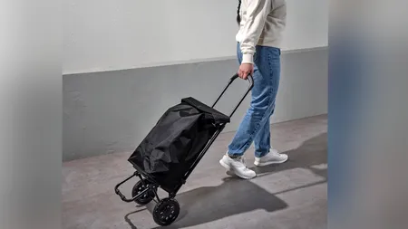 De-ale Puterii: Propunem RCA și pentru sacoșele de piață cu rotile!
