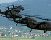 Incendiu de proporții la Chilia Veche: Intervenție aeriană masivă pentru stingerea focarelor din Delta Dunării