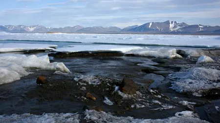 Oamenii de știință din Danemarca au descoperit accidental o nouă insulă în zona Arctică