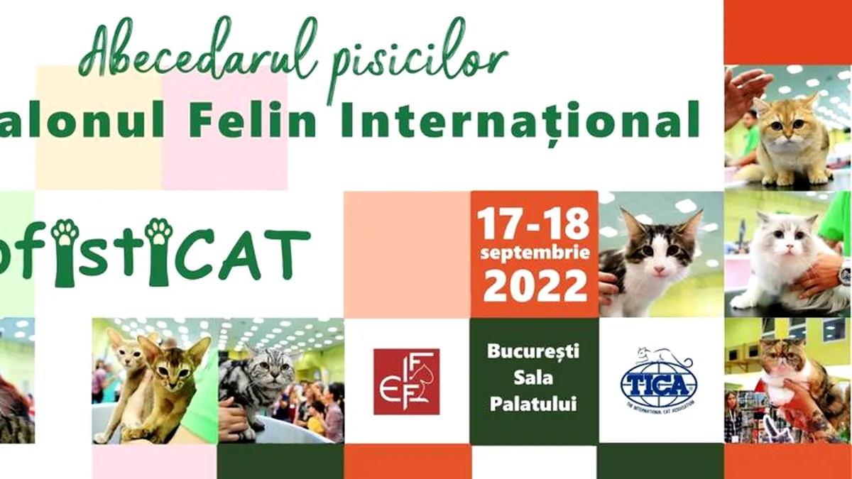 Peste 200 de pisici vor putea fi admirate la salonul internațional SofistiCAT de la București