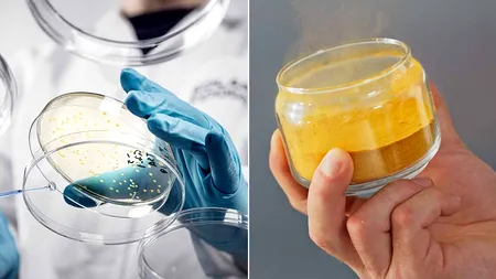 După proteine vegetale, a venit rândul celor fabricate ”din aer”