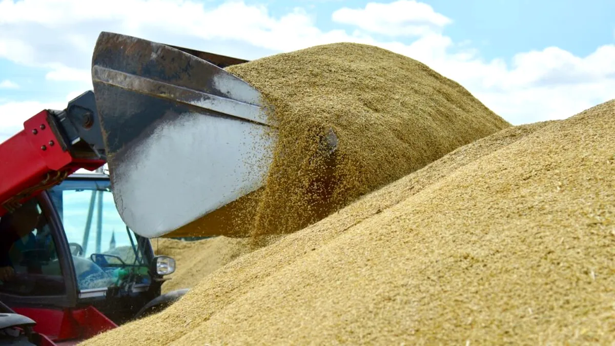 Importurile de cereale din Ucraina vor fi condiționate de un acord de punere pe piață