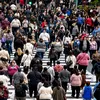 Alertă de obezitate: Europa a trecut de jumătatea cântarului. Peste 51% dintre adulți sunt supraponderali