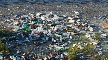 Bistrița-Năsăud: Nicio primărie nu a fost amendată pentru deșeurile ilegale de pe malurile râurilor