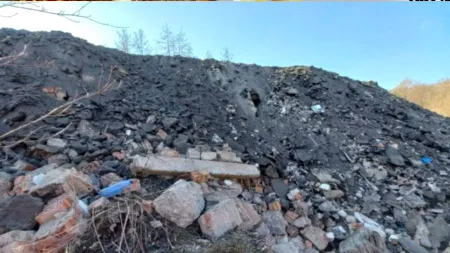 Descinderi în București, Ilfov și Călărași. Afaceriști și brokeri, vizați într-un dosar cu infracțiuni de mediu (Video)