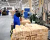 Un sector de 10 miliarde de lei al industriei româneşti riscă să se prăbușească. Care sunt motivele