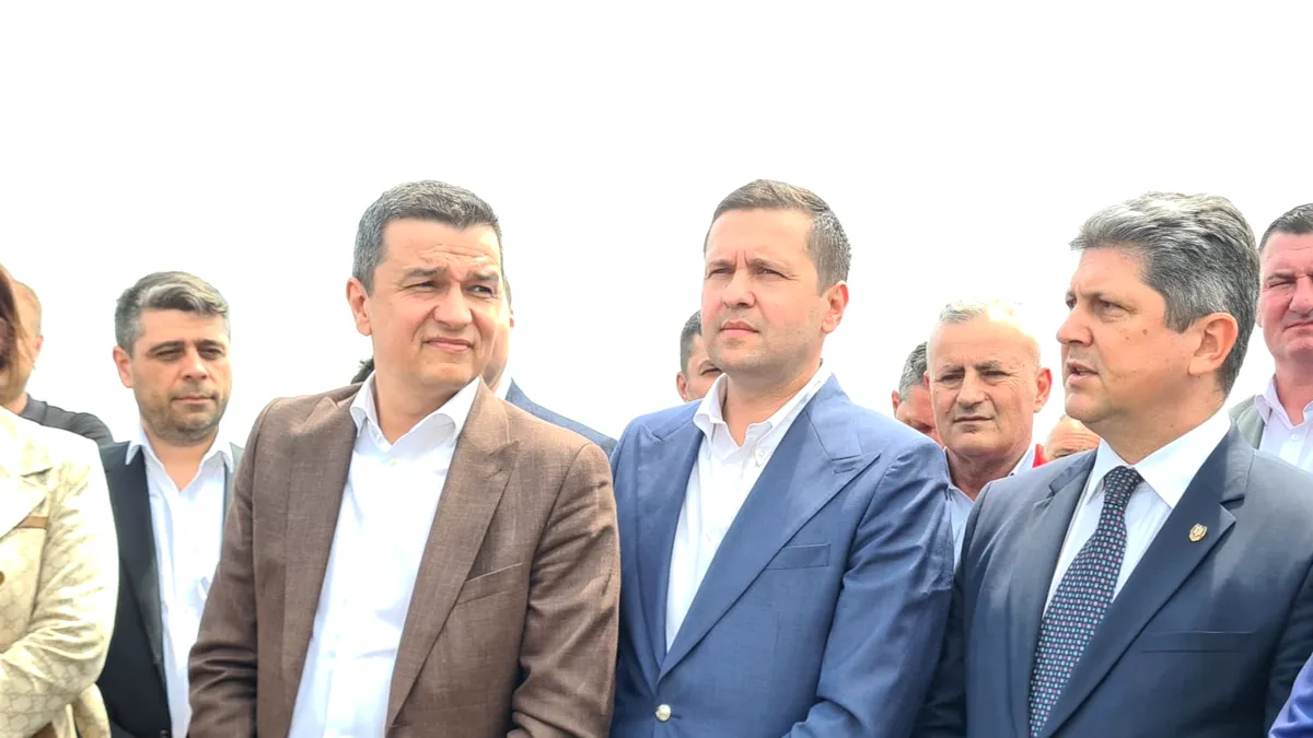 Cine sunt greii din PSD care își vor publica în continuare declarațiile de avere
