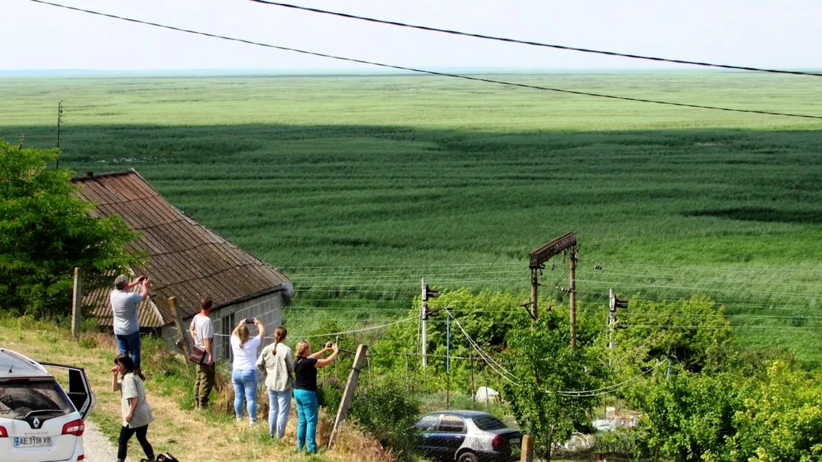 Pădurea mutantă de pe fundul fostului lac de acumulare Kahovka: sălciile hibride schimbă fața ecosistemului