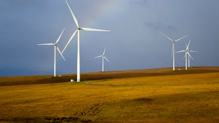 În 2021: Energia eoliană și solară a asigurat 10% din necesarul de electricitate la nivel global
