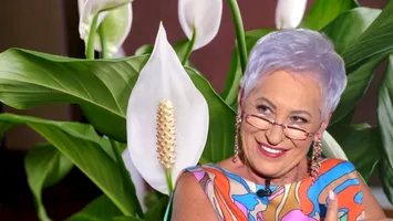 Planta care atrage iubirea în viața noastră. Floarea fericirii feminine nu ar trebui să lipsească din casele noastre