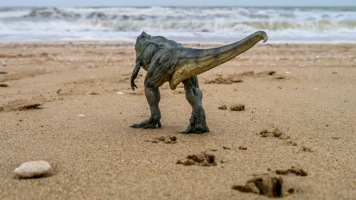 O fetiță de 10 ani a găsit urme de dinozaur: descoperire paleontologică surprinzătoare pe o plajă din Țara Galilor