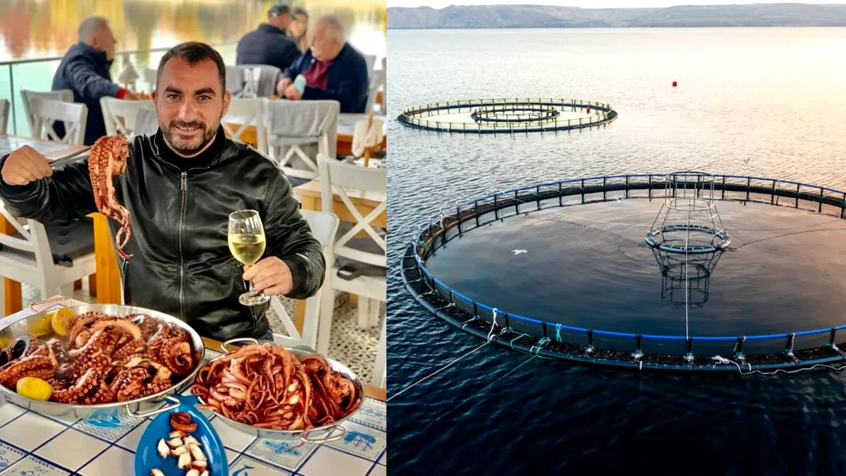 Ferme marine în Marea Neagră: Pescobar câștigă licitația. Cine sunt ceilalți investitori de top