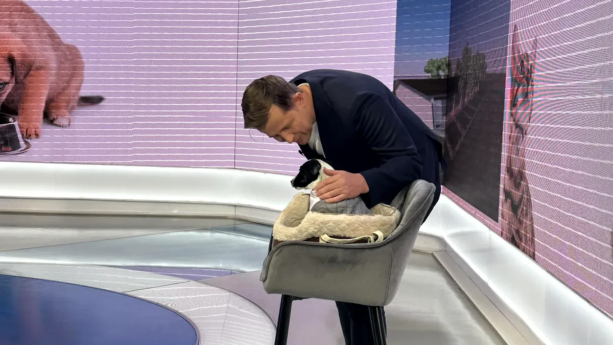 Hubert Thuma, președintele CJ Ilfov, îndeamnă la adoptarea responsabilă a animalelor de Ziua Internațională a Animalelor fără Stăpân