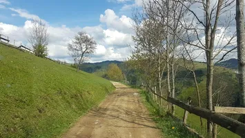 Şcoli desfiinţate de Guvernul Bolojan: Copii mici obligați să parcurgă kilometri pe jos