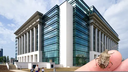Biblioteca Națională a României se închide pe perioada verii