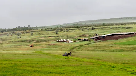 Țările Uniunii Europene și FAO promovează investițiile în sistemele agroalimentare din Republica Moldova
