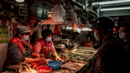 Ancheta OMS din China: Cercetătorii au ajuns în piața de pește din Wuhan