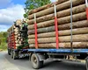 Procurorii destructurează o rețea de evaziune din industria lemnului: zeci de persoane și o firmă, anchetate pentru un prejudiciu de milioane