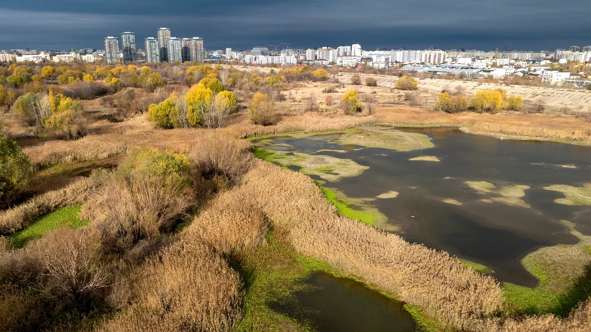 Parcul Natural Văcărești – nivelul apei crește, se reface delta Bucureștiului!