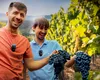 Crama Domeniile Davidescu: Vânzări record în 2024. Ce vinuri au fost vedetele portofoliului