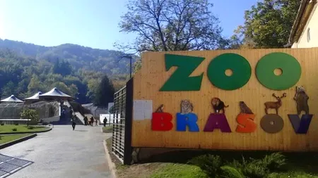 Iubitorii de animale se pot angaja la grădina zoologică