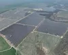 Iepurești, iepurele solar care sare direct în rețeaua națională