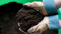 Îngrășămintele, tot mai scumpe, pe fondul crizei din Orientul Mijlociu. Cum este afectată producția