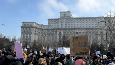 Dreptate pentru Heidi: Sute de oameni au ieșit în stradă pentru a apăra câinii abandonați din adăposturile publice