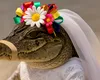 Și-au jurat iubire eternă. Primarul din Mexic care s-a căsătorit… cu un aligator (VIDEO)