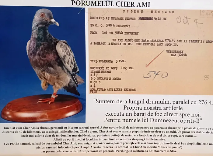 Istoria poștalionului / Foto: Otilia Halungă / Agerpres