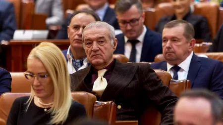 Becali va fi în comisia care cercetează fapte din cauza cărora a făcut închisoare