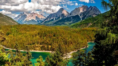 Huawei: Protejarea biodiversității Lacului Neusiedl din Austria utilizând tehnologie avansată